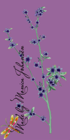 es_purpleflowers.jpg