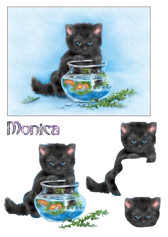 monica-cat-2.jpg