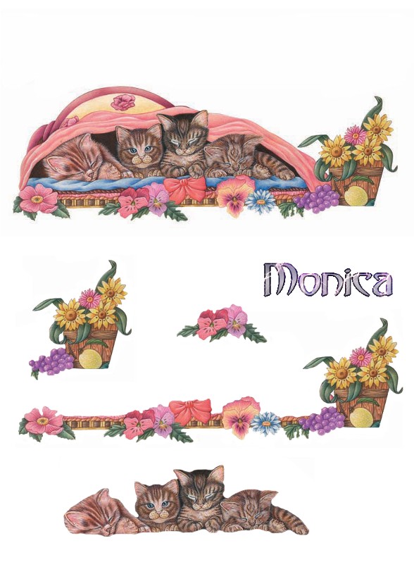 monica-cats-1.jpg