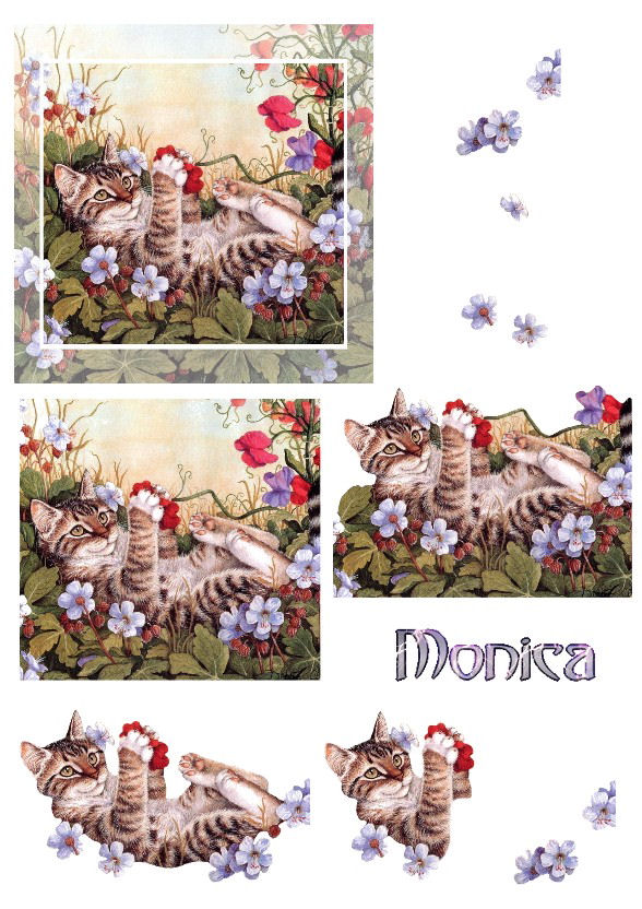monica-cats4.jpg