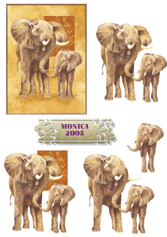 monica-elephants.jpg