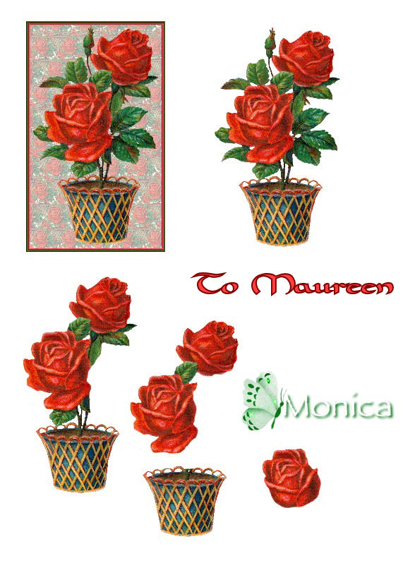monica-flower14-m.jpg