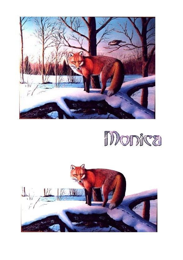 monica-fox-1-1.jpg