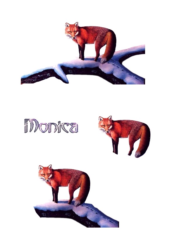 monica-fox-1-2.jpg