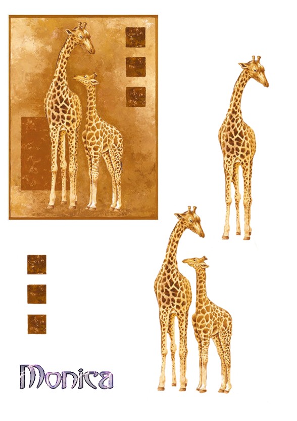 monica-giraffe-2.jpg