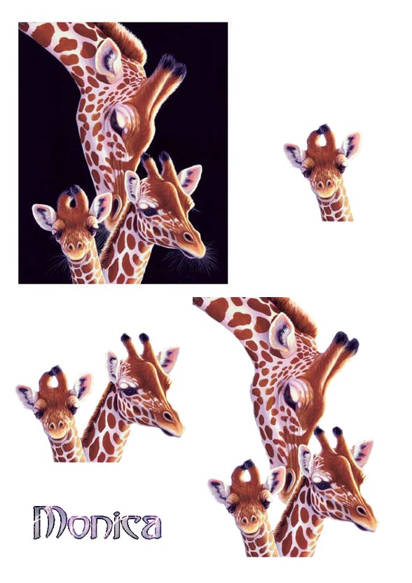 monica-giraffe4.jpg