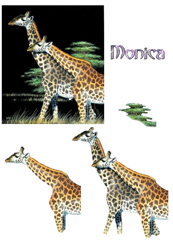 monica-giraffe_1.jpg