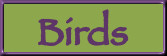 p_birds.jpg